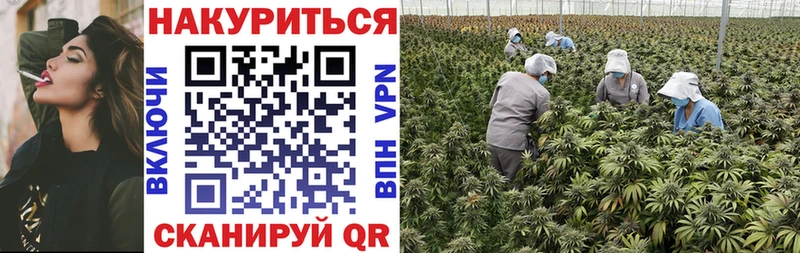 Сколько стоит Дубна Альфа ПВП  Конопля  МЕФ  ГАШИШ 