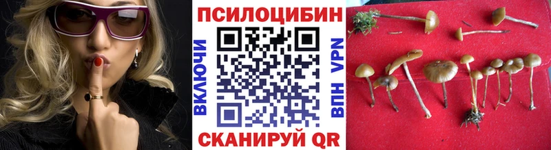 Псилоцибиновые грибы мухоморы  маркетплейс клад  Дубна 