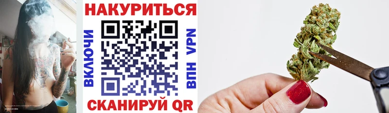 Конопля OG Kush  как найти   Дубна 